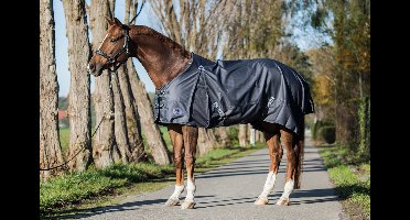 MASTER Regendeken metallic grey 0g-165