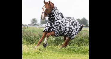 MASTER Zebra Vliegendeken met elastische hals - 95 / 135