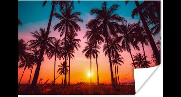 Poster Palmboom - Zonsondergang - Horizon - Strand - Oranje - Roze - 30x20 cm - Kerstversiering - Kerstdecoratie voor binnen - Kerstmis