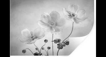 Muurstickers - Sticker Folie - Stilleven - Zwart - Wit - Bloemen - 30x20 cm - Plakfolie - Muurstickers Kinderkamer - Zelfklevend Behang - Zelfklevend behangpapier - Stickerfolie