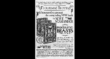 Fantastic Beasts 2 Flourish & Blotts Poster 61x91.5cm