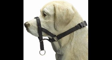 Beeztees Dog Control - Halsband Hond - Zwart - XL