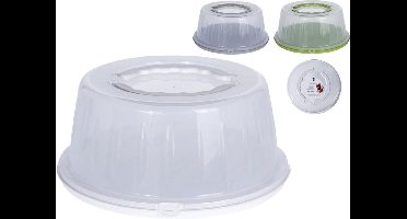 Excellent Houseware Taartdoos 33x15 cm Assorti