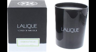 Lalique Candle 190g - Osmanthus Himalaya