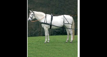 Zadelpad voor paard Star