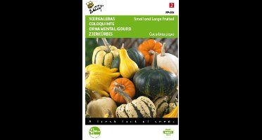 2 stuks - Buzzy - Cucurbita Sierkalebas Klein en Groot Gem.
