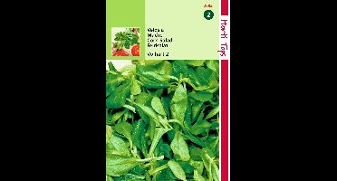 2 stuks Hortitops Veldsla Groene Volhart 2