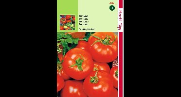 2 stuks - Hortitops - Tomaten Moneymaker