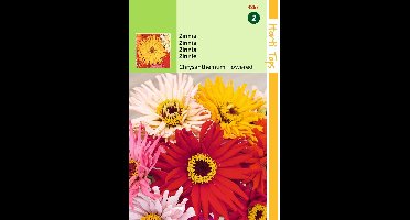 2 stuks HT Zinnia Chrysanthbloemig gemengd