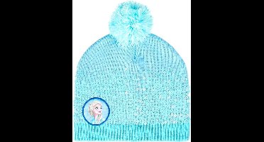 Disney Frozen premium hat
