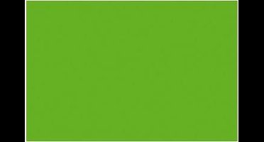 fotokarton Folia A4 300gr pak a 50 vel grasgroen