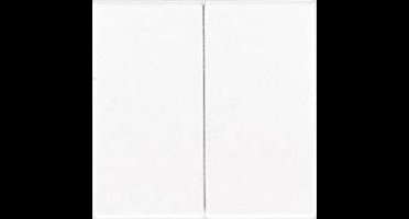 Jung LS990 Bedieningselement/Centrale Plaat LS995 - E2U66