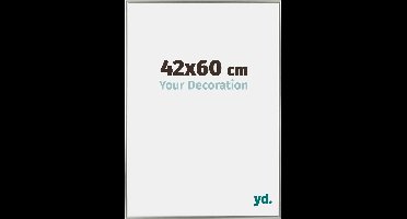 Your Decoration - Fotolijst 42x60 cm - Kunststof - Champagne - Evry