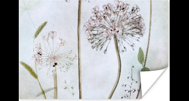 Poster - Bloemen - Planten - Stilleven - Botanisch - Wanddecoratie - 30x20 cm - Muurposter
