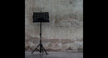 Innox ISA 01 MKII muziekstandaard met geperforeerd blad