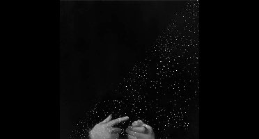 Duane Pitre & Cory Allen - The Seeker And The Heeler (LP)