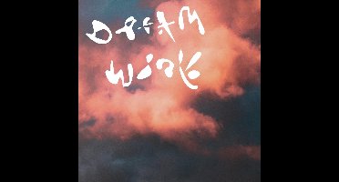 Dinner - Dream Work (LP) (Coloured Vinyl) (Limited Edition)