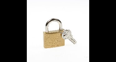 Oxloc Hangslot cilinder messing 50mm gls 5004