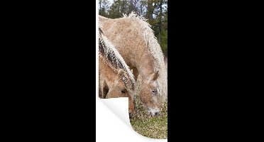 Muurstickers - Sticker Folie - Twee grazende fjord paarden in een grasveld - 20x40 cm - Plakfolie - Muurstickers Kinderkamer - Zelfklevend Behang - Zelfklevend behangpapier - Stickerfolie