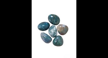 Agaat mos trommelstenen 100 gr. (mt3)