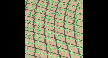 ProPlus Aanhangernet - 2.5 x 3.5 m - Aanhangwagennet - Trailernet - Ladingnet - Ø5 mm Elastisch Koord - Maaswijdte 45 x 45 mm - UV-gestabiliseerd - Inclusief Opbergtas