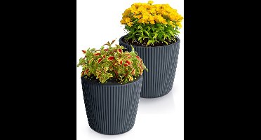 Prosperplast Plantenpot/bloempot Buckingham - 2x - kunststof - antraciet - D34 x H30 cm