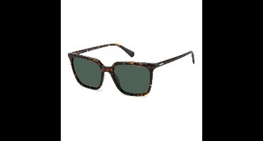 Zonnebrillen Polaroid PLD 4163/S 086/UC