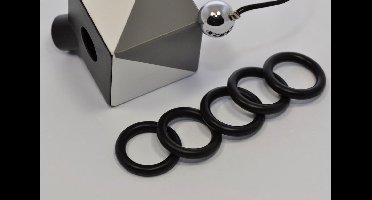 Nefit/Bosch o-ring 17x4mm (5 st)