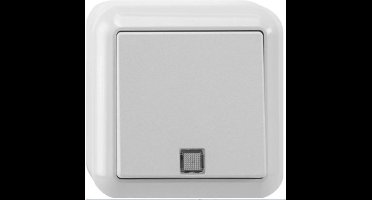 Schneider - Opbouw wisselschakelaar - Polarwit - Controlelamp- 381624