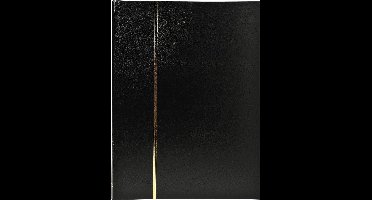 Exacompta Postzegelalbum met kunstlederen omslag- 16 zwarte bladen - 9 banden - 22 ,5x30,5cm - Zwart - 26131E