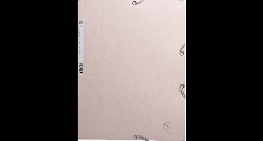 Exacompta 25x Elastomap met 3 kleppen in glanskarton 400g/m2 Skandi - Nude - 55274E