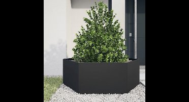 Plantenbak – Bloembak – Bloempot – Plantenmand – Balkonbak – Zwart – Rechthoekig – Stalen Duurzaam Materiaal – 138x120x45 cm