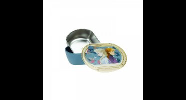Disney Frozen Explore voedselcontainer met roestvrijstalen thermoopslag