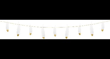 PartyDeco - Papieren veren slinger 1,6 m