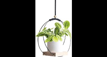 Hangende plantenbakken voor kamerplanten, hangende plantenbakplank met houten voet, plantenhouder in boho-stijl voor plafond, muur, raam, kamer, binnen en buiten (zwart)