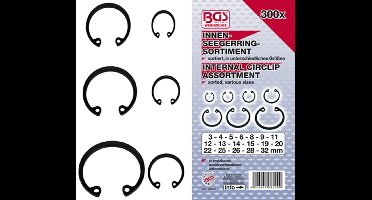 Assortiment Borgveerringen Binnen 300Dlg