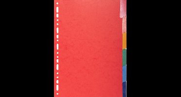 Exacompta 25x Tabbladen in glanskarton 225g met geplastificeerde gekleurde tabs - 6 tabs - A4 - Geassorteerd - 2206E