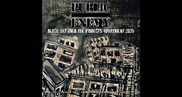 Black Sky Over the Projects: Apartment 2025
