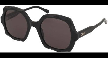 Zonnebrillen Chloe CH0226S 005