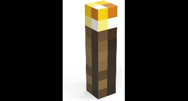 Minecraft Vierkante waterfles (Veelkleurig)