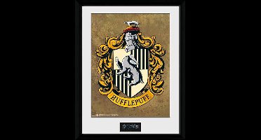 Harry Potter Hufflepuff - Collector Print 30x40