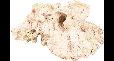 Flamingo - Aquarium Rocco koraal - Beige - 18 x 13.5 x 9.5 cm