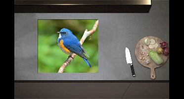 Inductieplaat Beschermer - Blauwe Vogel met Oranje Borstje op Dunne Tak - 59x52 cm - 2 mm Dik - Inductie Beschermer - Bescherming Inductiekookplaat - Kookplaat Beschermer van Zwart Vinyl