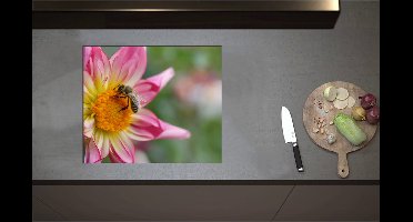 Inductieplaat Beschermer - Bij op Midden van Roze Dahlia Bloem - 60x51 cm - 2 mm Dik - Inductie Beschermer - Bescherming Inductiekookplaat - Kookplaat Beschermer van Wit Vinyl