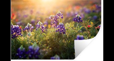 Muurstickers - Sticker Folie - Texas Bluebonnet bloemen bij een gouden zonsondergang - 30x20 cm - Plakfolie - Muurstickers Kinderkamer - Zelfklevend Behang - Zelfklevend behangpapier - Stickerfolie