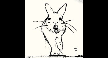 Beat Happening - Crashing Through (Meyering Mix) (7" Single)
