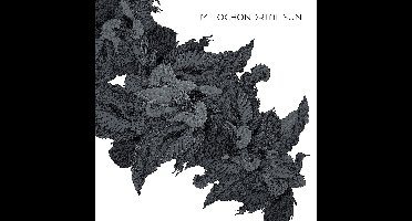Mitochondrial Sun - Mitochondrial Sun (LP)