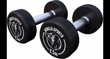 Gorilla Sports Dumbbell set 5 kg - Halterset - 2x2,5 kg - Dumbells - Gietijzer