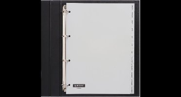 10 X Tabbladen Quantore 4-gaats 12-delig met maanden grijs PP