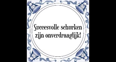 Tegeltje met Spreuk (Tegeltjeswijsheid): Succesvolle schurken zijn onverdraaglijk! + Kado verpakking & Plakhanger